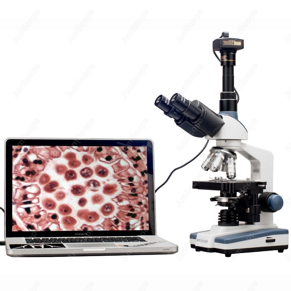 Lab Compound Microscope--AmSco – обзор и цена Medical Lab Microscope