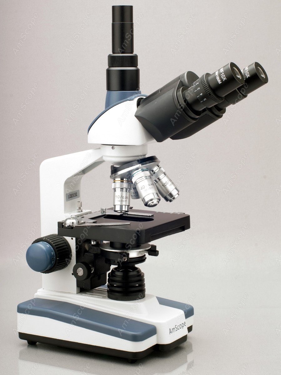 Lab Compound Microscope--AmSco – обзор и цена Medical Lab Microscope