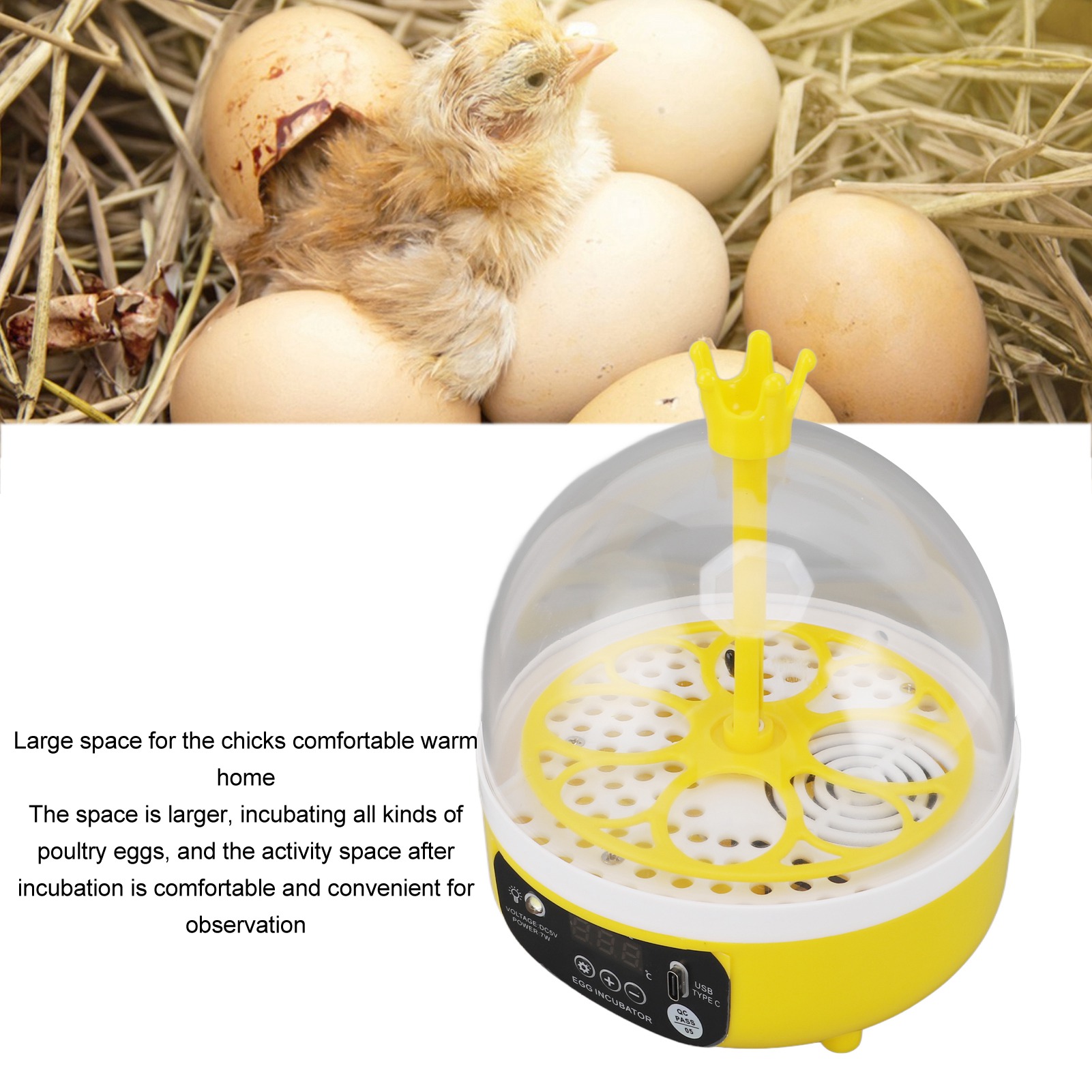 Egg Incubator Automatic Temper – обзор и цена Lab Incubator