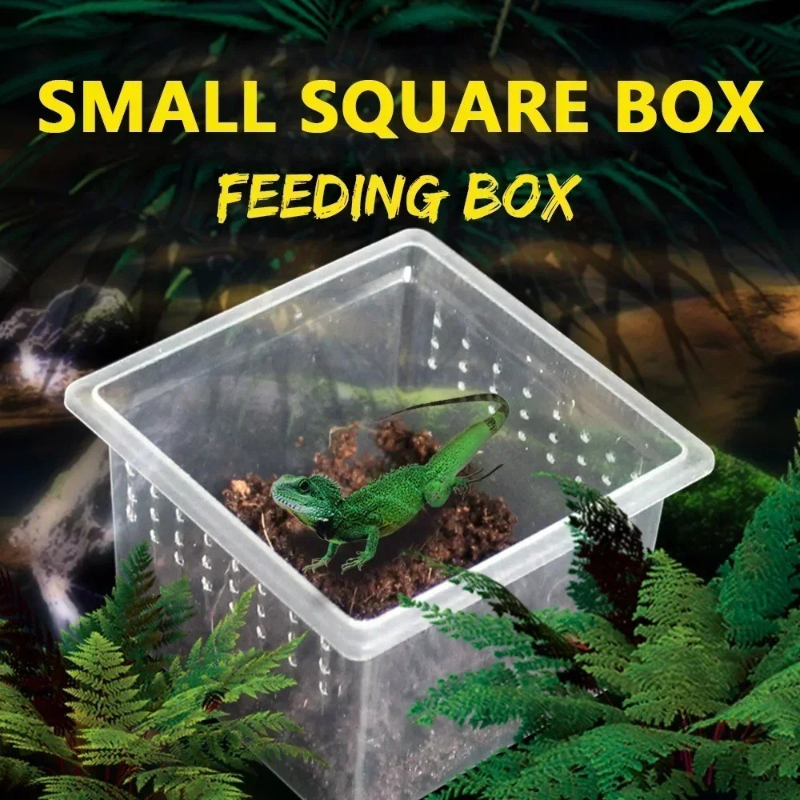 10 Feeding Box Reptile Cages I – обзор и цена Lab Incubator