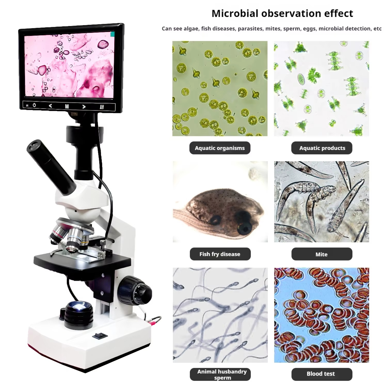 Top Selling HD Screen Digital  – обзор и цена Medical Lab Microscope