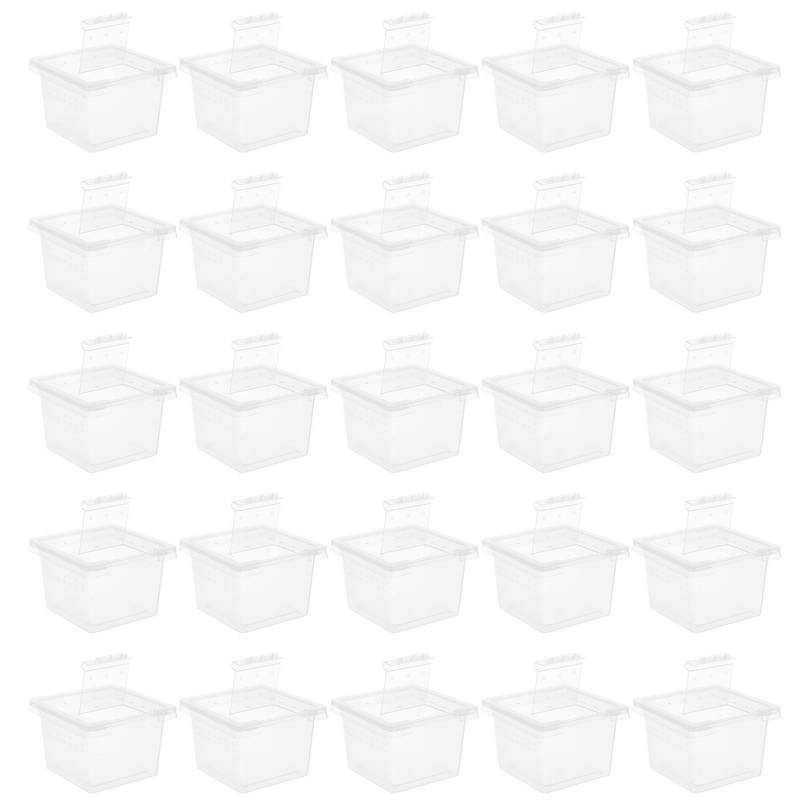100 Pcs Pet Feeding Box Acryli – обзор и цена Lab Incubator