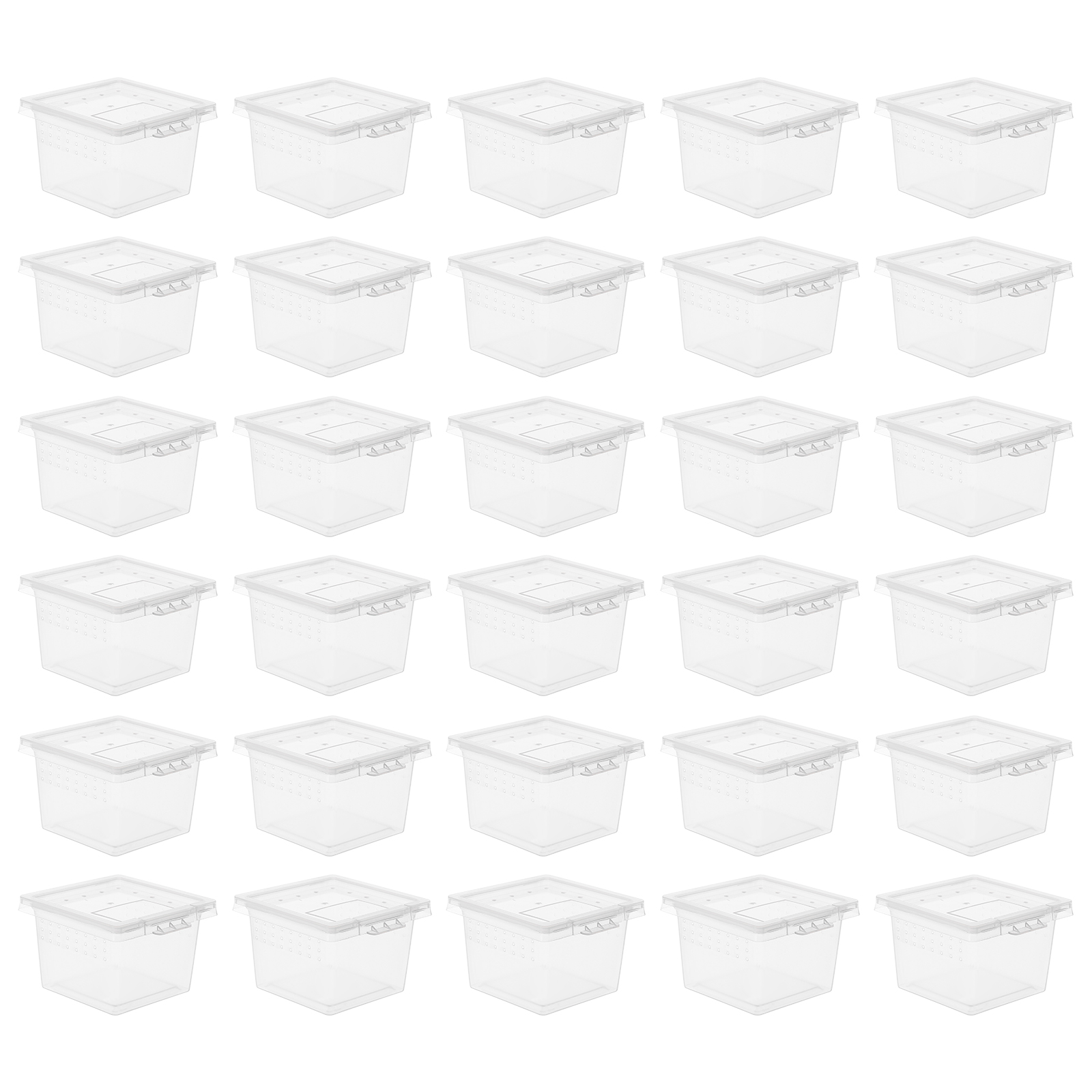 100 Pcs Pet Feeding Box Acryli – обзор и цена Lab Incubator