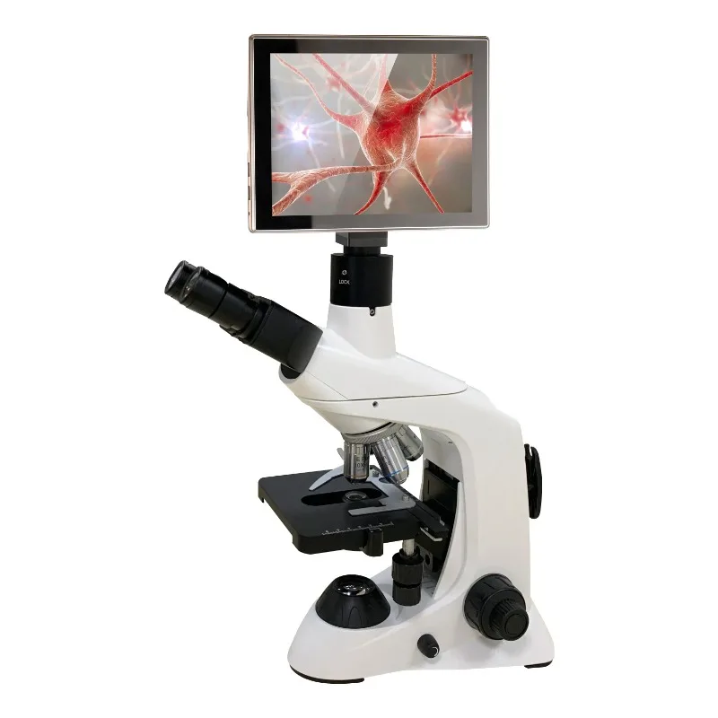 2026 New Stainless Steel Medic – обзор и цена Medical Lab Microscope
