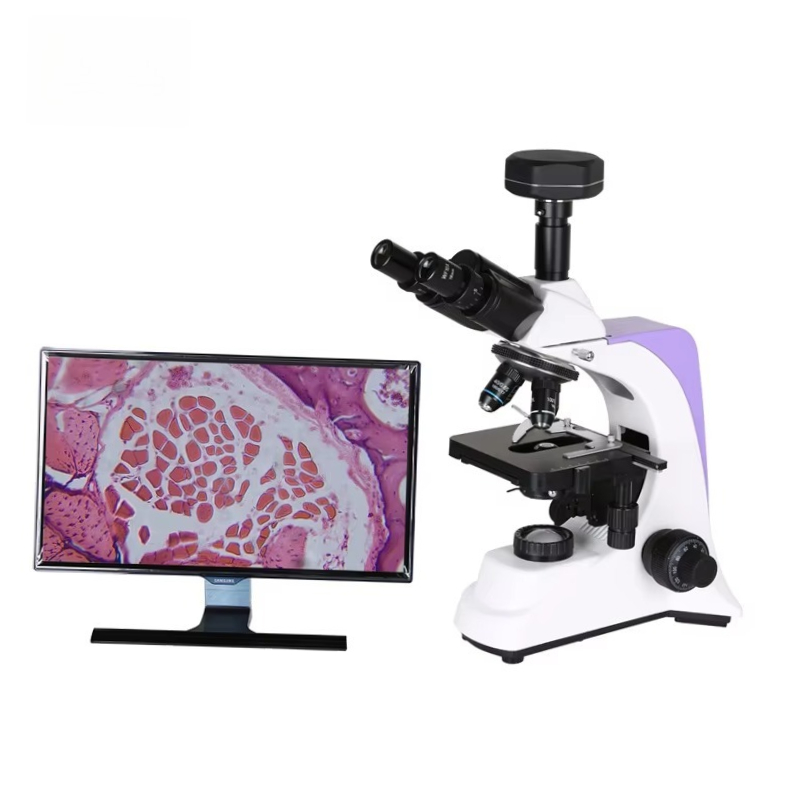 2026 Medical Lab Digital Biolo – обзор и цена Medical Lab Scientist