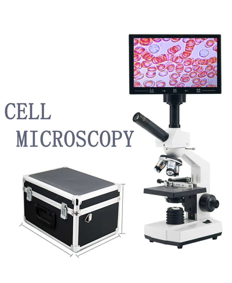 High-definition professional c – обзор и цена Medical Lab Microscope