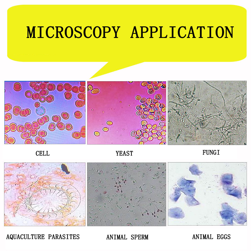 High-definition professional c – обзор и цена Medical Lab Microscope