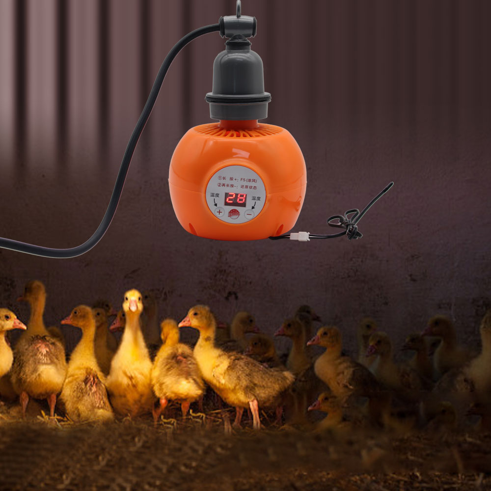 Pet Heater Animal Heating Lamp – обзор и цена Lab Incubator
